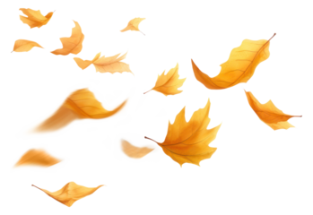 PNG Floating maple leaf effect, transparent background.  by rawpixel.