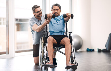 Weights, physiotherapy and senior man in wheelchair for wellness, medical service and consulting....