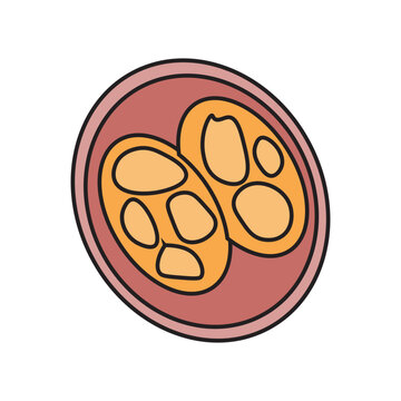 Coccidia 