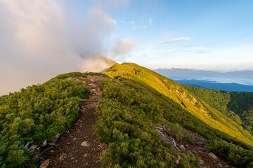 Fototapeta premium The trail from Mt. Senjogadake to Kitazawa Pass