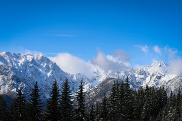 Logarska Dolina Slovenian Alps