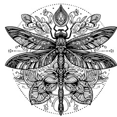 dragonfly for mandala v5