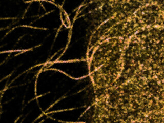 Gold abstract background, line graphic background, texture