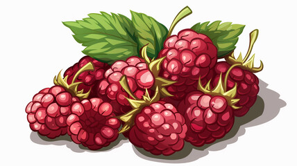 Beautiful raspberries isolated on white background fresh raspberry farm market product. raspberries, fresh raspberries, raspberry isolated, raspberry on white background, raspberry fruit,