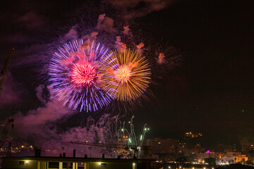 Fototapeta premium Fireworks by Santa RosalÍa 5