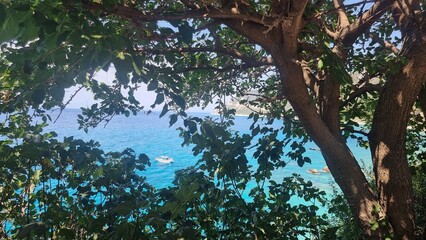Fototapeta premium sea beah trees summer holidays in greece agios nikitas village in lefkada island