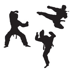 Female Martial Art Pose Silhouette Vector illustration Set