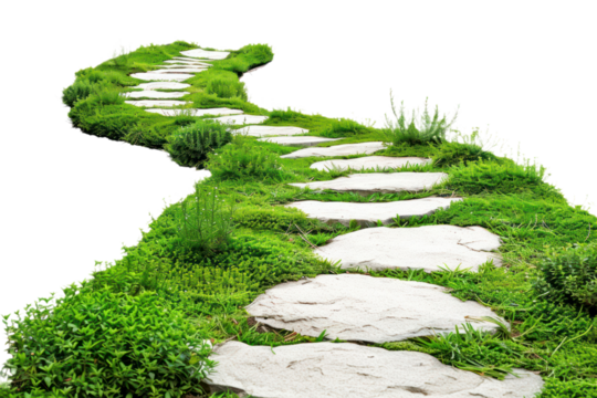 PNG  Serene stone path greenery