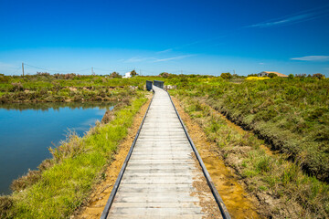 Obraz premium Wooden footbridge and coastal path in Le Chateau d'Oleron, France on a sunny day