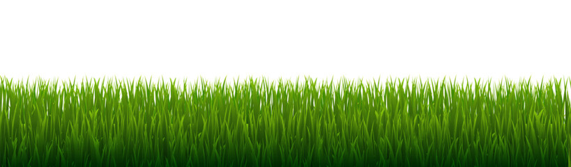 Obraz premium Green Grass And Isolated White Background