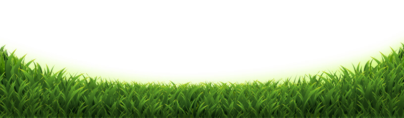 Fototapeta premium Green Grass With Isolated White Background