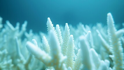 Fototapeta premium coral reefs showing signs of damage due to acidification, field of dept deep odject, all cover focus text, for spacecopy