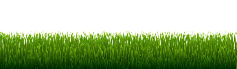 Green Grass And Isolated White Background