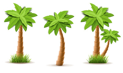 Obraz premium Palm Tree Set Isolated White Background