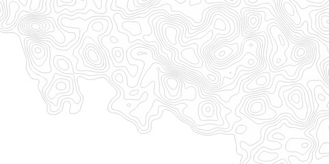 Abstract background vector. Abstract topographic contours map background . Abstract white pattern topography vector background .	