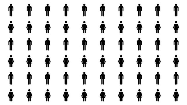 Men and Women icons appear with a bouncing animation, in a lively, eye-catching style. White, Black and Green Screen Background. Infographic Pictogram, gender equality and statistical data concept