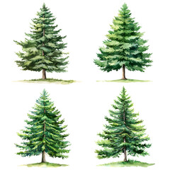 Fototapeta premium Trees front view, PNG, watercolor style vector tree, pine, architectural element, PNG bundle, vector clipart, transparent background 