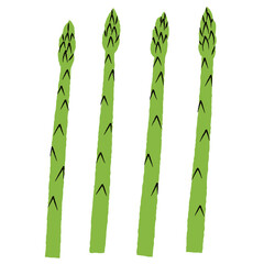 シンプルなアスパラガスのイラスト｜ベクター
