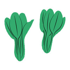 シンプルな小松菜のイラスト｜ベクター