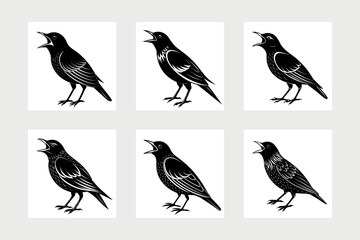     European starling bird icon vector illustration.
