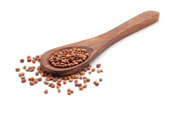 Front view of a wooden spoon filled with dry Organic Red Radish (Raphanus sativus) seeds. Isolated on a white background.
