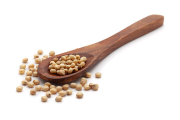 Front view of a wooden spoon filled with dry Organic Jowar or Sorghum (Sorghum bicolor) seeds. Isolated on a white background.
