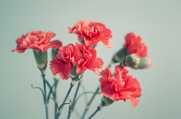 Obraz premium Vintage Red Carnations Bouquet Closeup