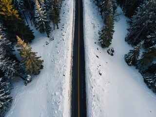 Top-Down Shot of Serpentine Road in Snowy Woods