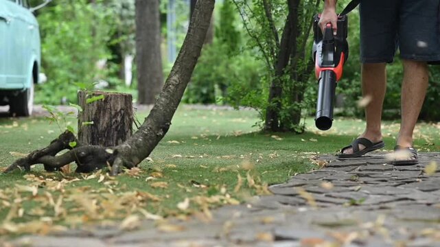 Cordless Leaf Blowers. handheld, cordless, electric leaf blower in a garden, selective focus. Autumn, fall gardening works in a backyard, on a lawn, grass. Garden works.	