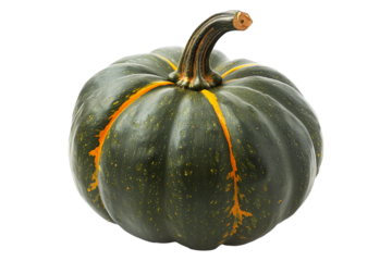 buttercup squash isolated on a white background, great for autumn themes and decorations.