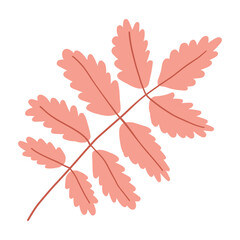 A simple illustration of a pink autumn leaf with multiple leaflets, connected by a central stem. The design features clean lines and a minimalist style, perfect for seasonal decorations or botanical.