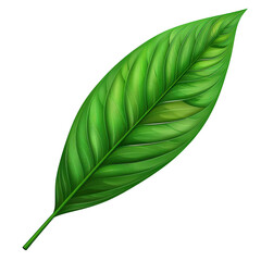 Obraz premium A vibrant green leaf with detailed veins and texture, isolated on a transparent background.