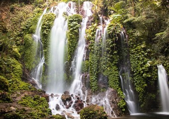 waterfall in the jungle