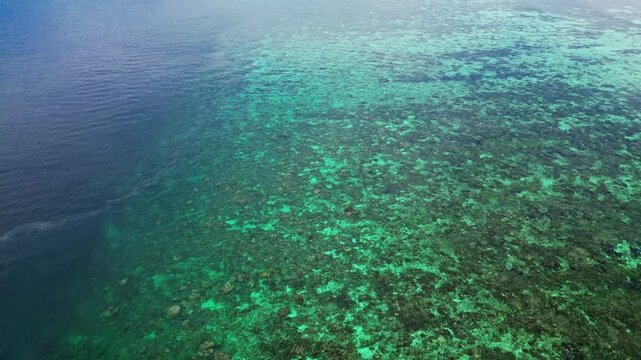 Drone flying over a shallow coral reef with a drop off into deep blue water