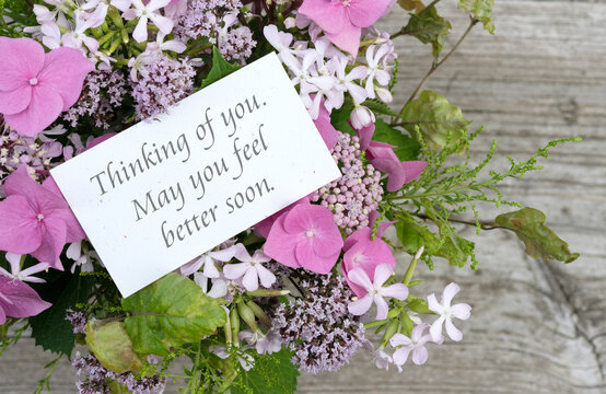 Greeting card with pink hydrangeas, soapwort, oregano and text: Thinking of you. May you feel better soon
