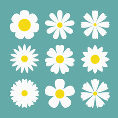White chamomile daisy set. Camomile icon. Different petals. Cute round flower head plant. Growing concept. Love card. Simple abstract sign symbol shape. Flat design. Isolated. Green background. Vector