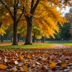 autumn in the park