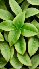 Obraz premium Green Plant Flower Leaves Illustration For Background or Pattern