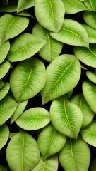 Obraz premium Green Plant Flower Leaves Illustration For Background or Pattern