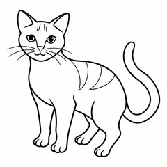 Fototapeta premium cat drawing