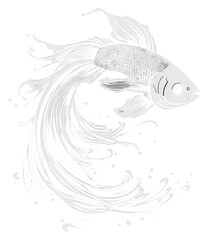 PNG Silkscreen of beta fish animal nature black.