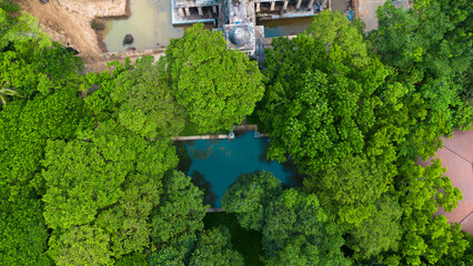 green house in the village