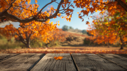 Naklejka na ściany i meble Rustic wooden deck with autumn trees and colorful foliage in the background.