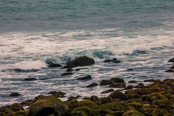 Large waves crash into with coastal rocks covered in green moss. Dramatic sea coast background. Raglan, New Zealand