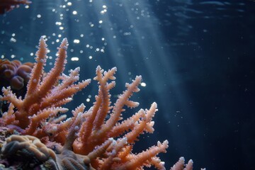 Fototapeta premium A coral reef is bathed in sunlight, showcasing vibrant colors and diverse marine life, Delicate tendrils of coral reaching towards the light