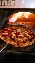 delicious pizza fresh from the wood oven