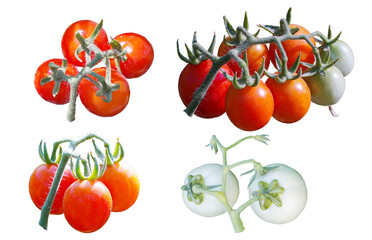 Small tomatoes on a white background