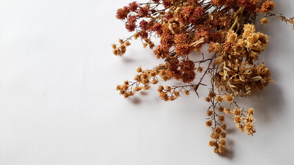 Dried flowers arrangement 