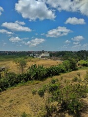 View of the countryside, Ordinary life in Asia, rice and palm plantations, houses in the background, blue sky, people working in the fields near their homes in summer season 