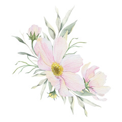 Pink cosmea flowers and eucalyptus greenery, floral bunches. Floral pastel style wedding bouquets. Isolated hand drawn watercolor illustration for wedding design, stationery, greetings,textile